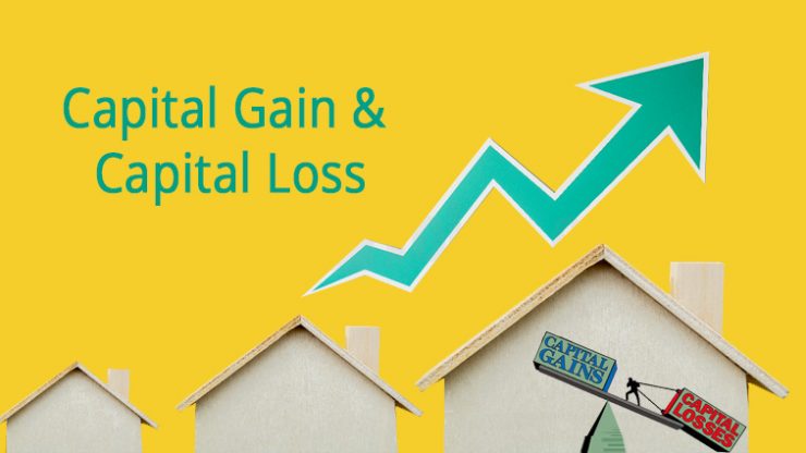 Capital Gain & Capital Lose