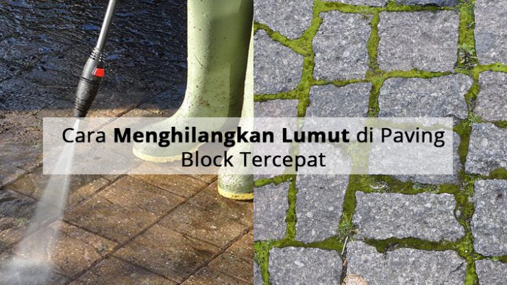 Cara Menghilangkan Lumut di Paving Block Tercepat