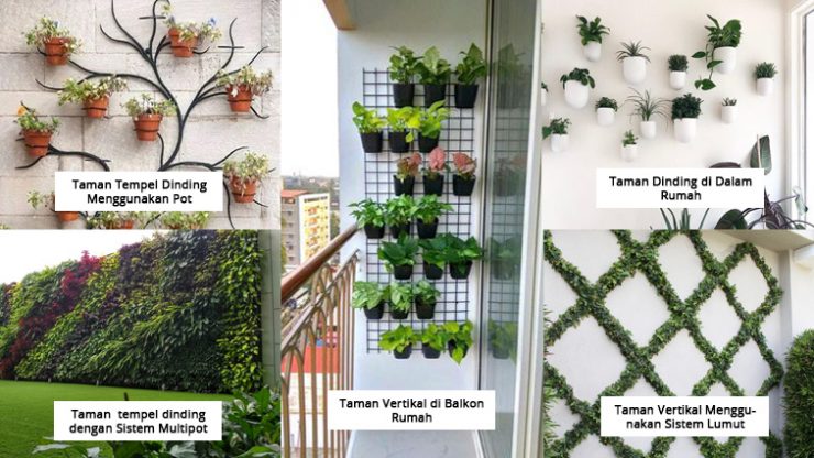 5 Inspirasi Taman Dinding Minimalis Populer