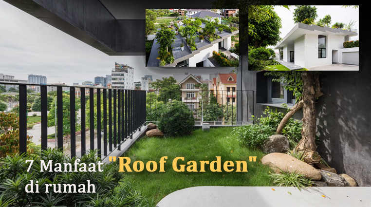 5 Manfaat “Roof Garden” di rumah kita