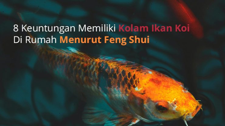 8 Keuntungan Memiliki Kolam Ikan Koi Di Rumah Menurut Feng Shui