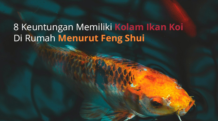 8 Keuntungan Memiliki Kolam Ikan Koi Di Rumah Menurut Feng Shui