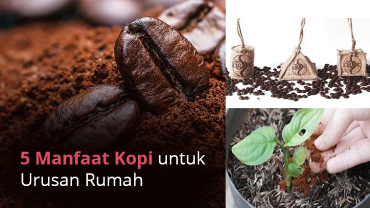 5 Manfaat Kopi untuk Urusan Rumah